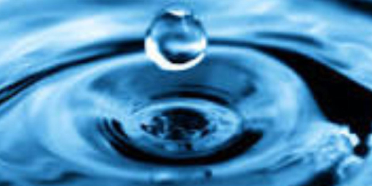 David o Leary banner