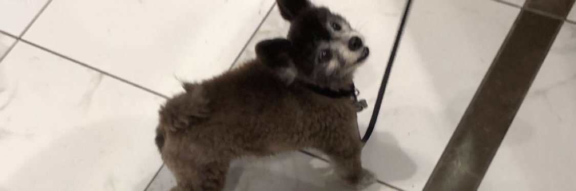 TylerCostello21's profile banner image