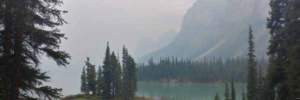 fx_plante Profile Banner