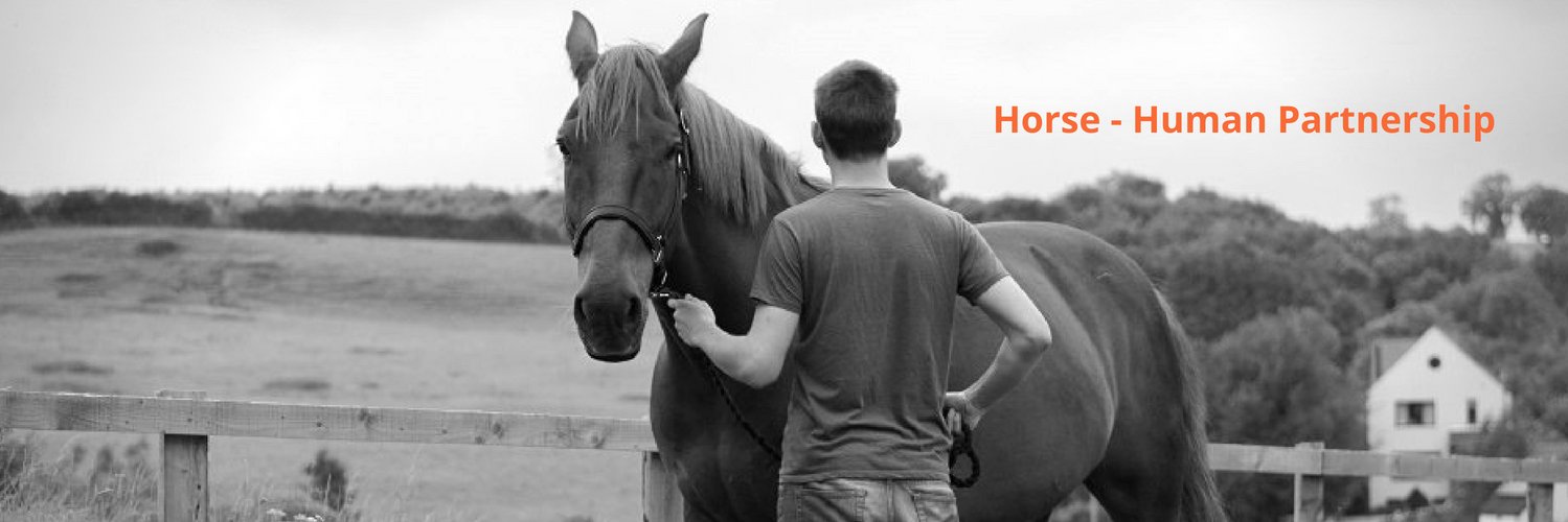 Equine Therapy Center banner