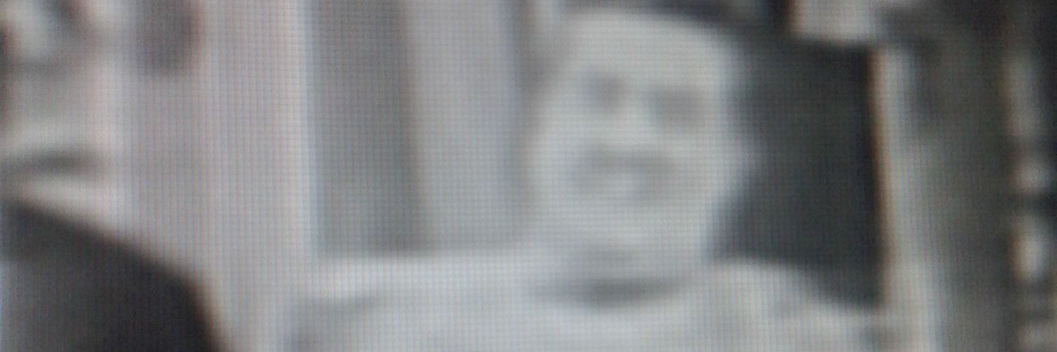TtegralSusvin's profile banner image