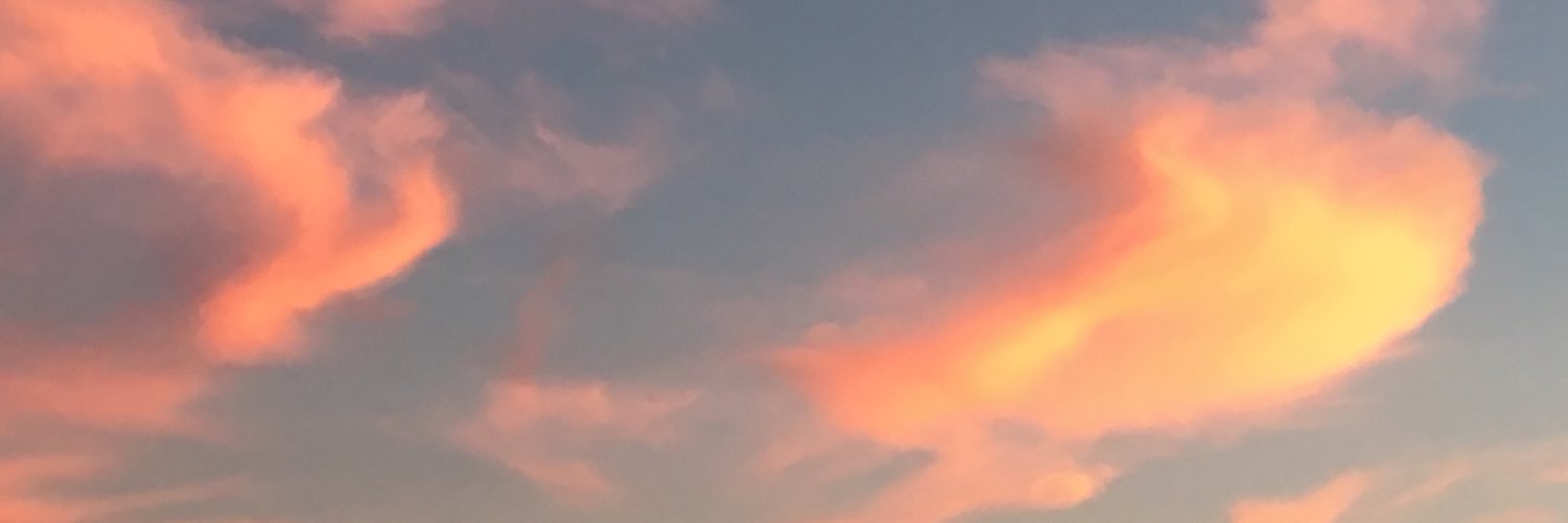CFeldtfos's profile banner image