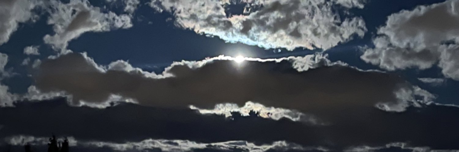 paubr4's profile banner image