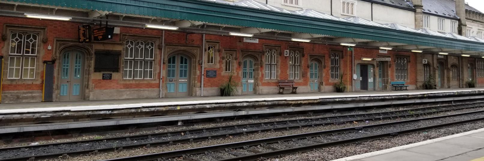 Vanessa Anton banner