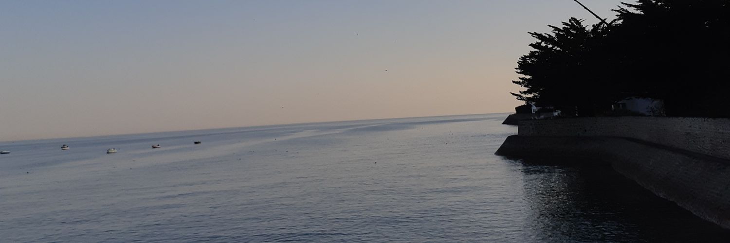 ivimm17's profile banner image