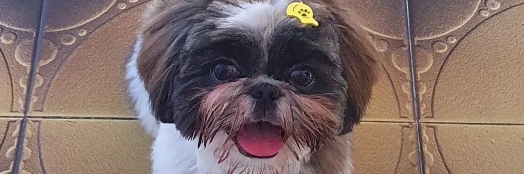gabi_mcdo's profile banner image