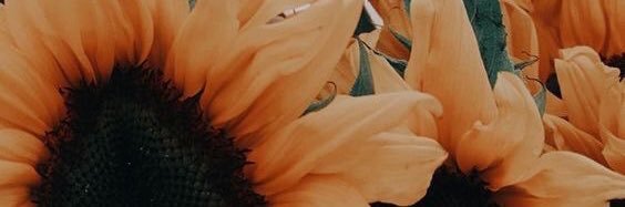 andie_pl's profile banner image