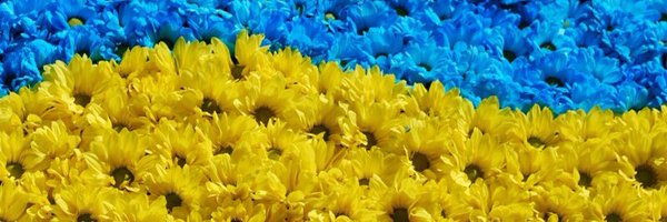 Tainaclio Profile Banner