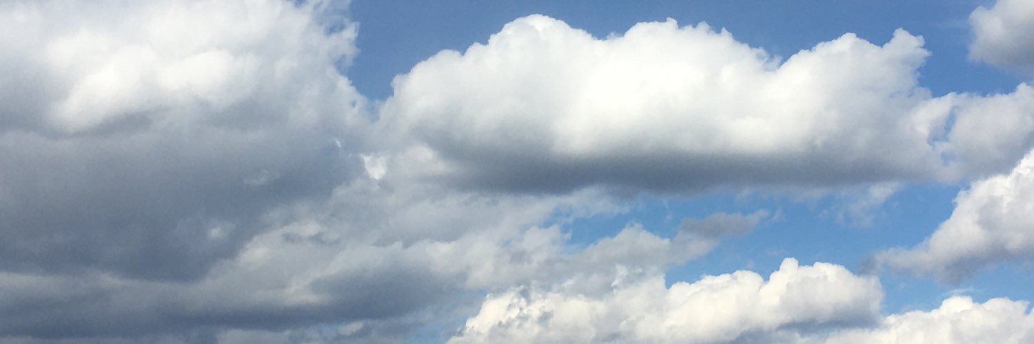 screamtesha's profile banner image
