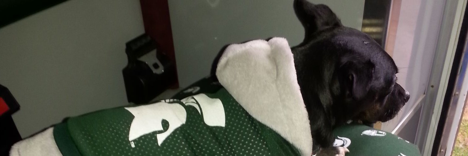 snowQN30's profile banner image