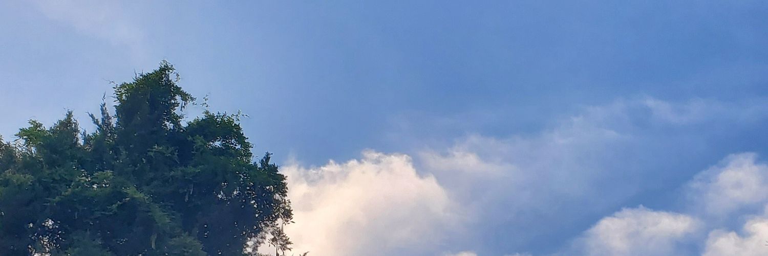 TalentedMrWebb's profile banner image