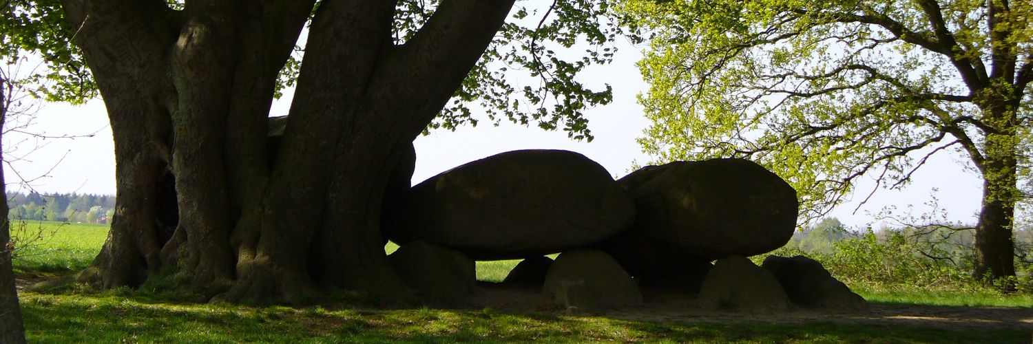 Nicole_Maessen's profile banner image