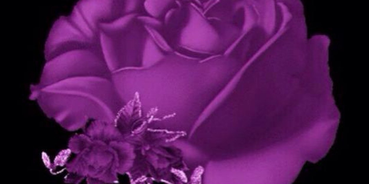 m3anywafa's profile banner image