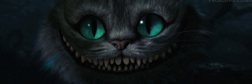 BarbaraMDias's profile banner image