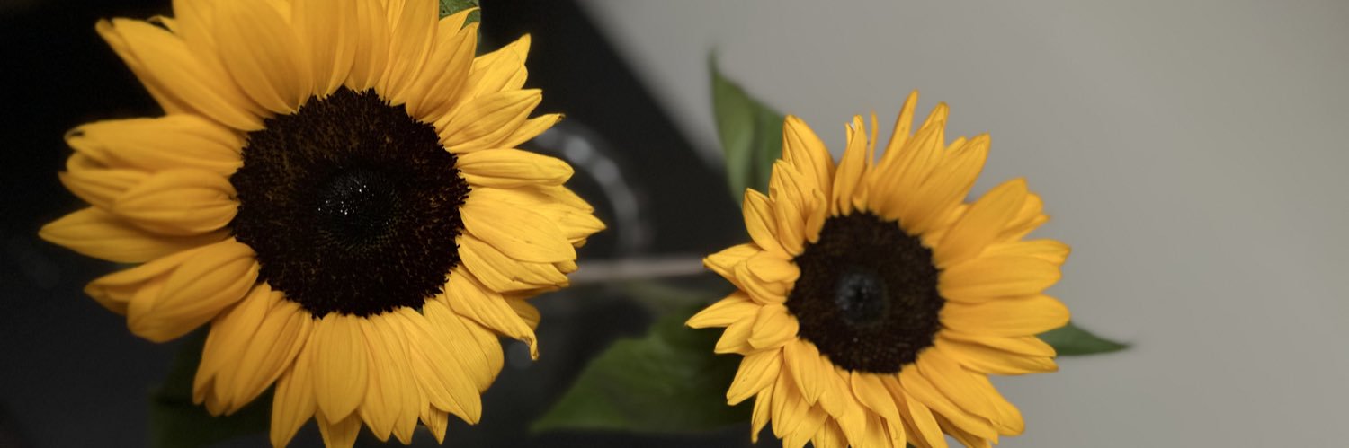 kalerg__'s profile banner image