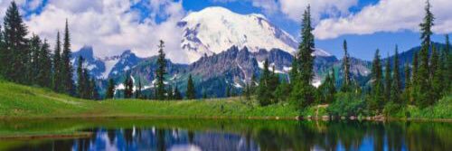 Mountain Rainer NP banner