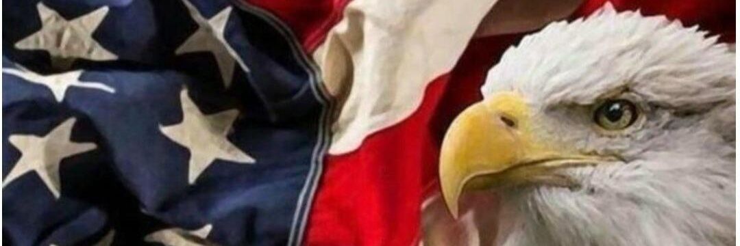 Bagman65's profile banner image