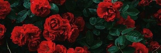 MariiShawtty's profile banner image