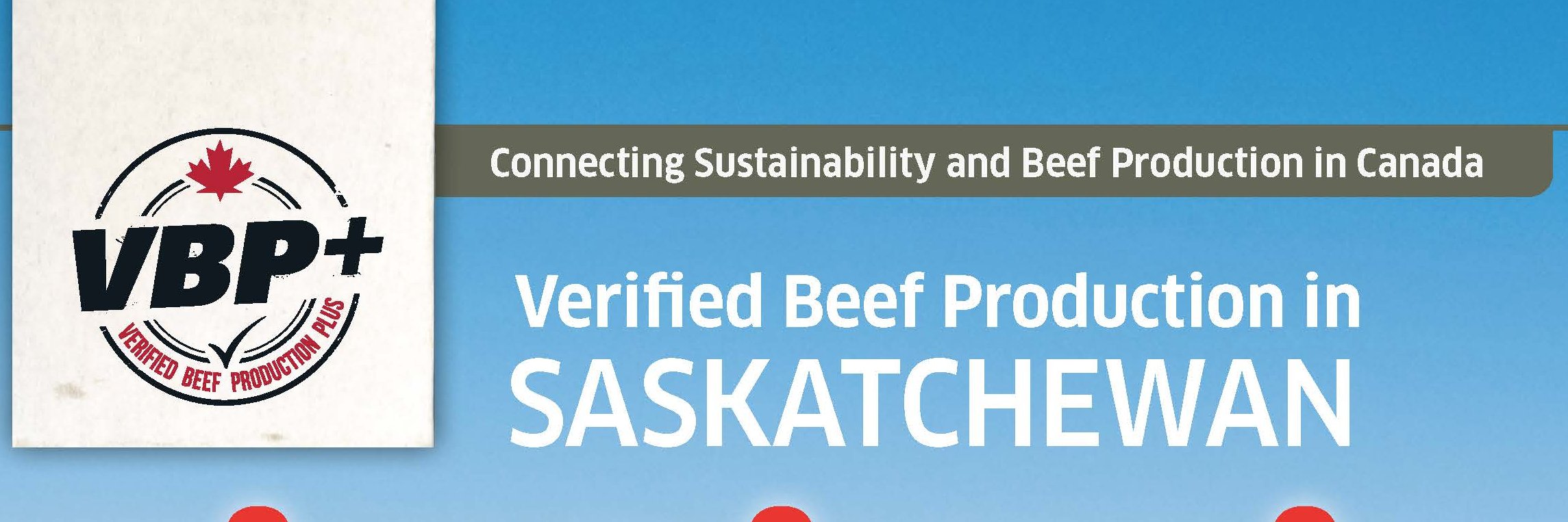 SASK VBP banner