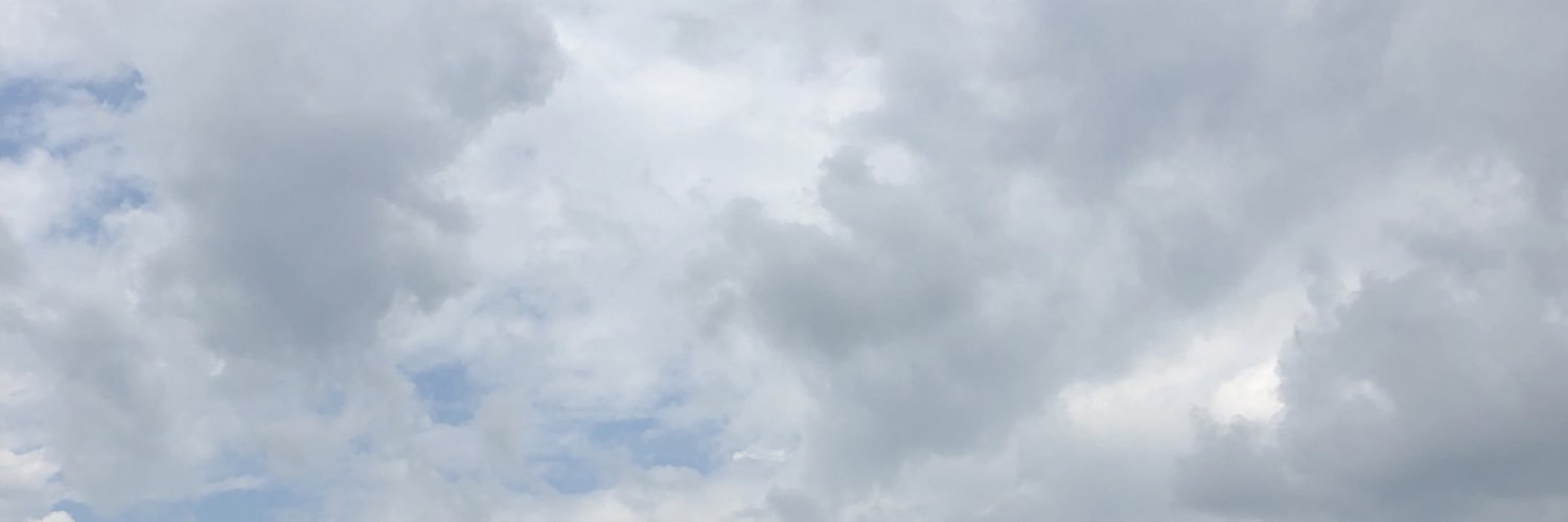 jayden_leckey's profile banner image