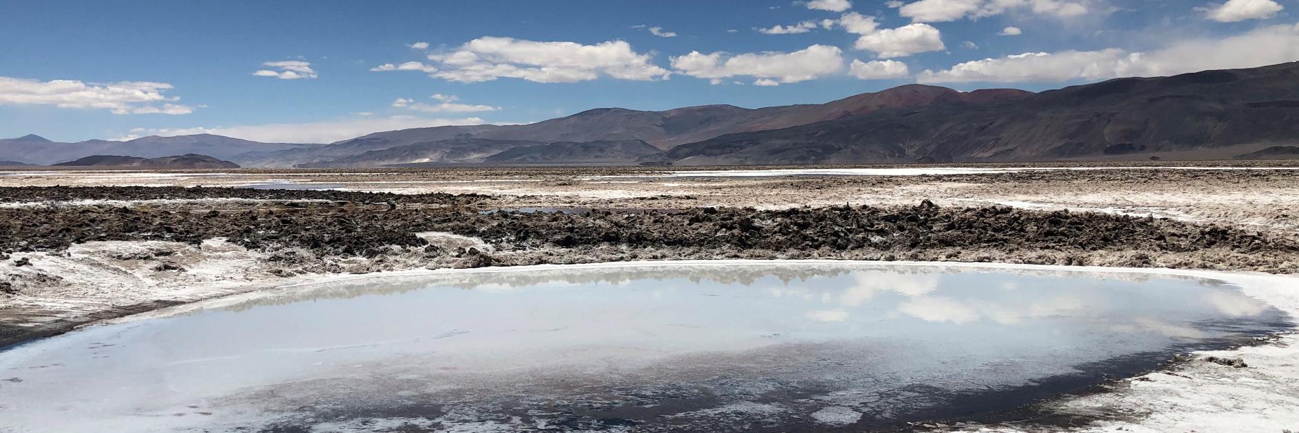 Andrea Castillejos banner