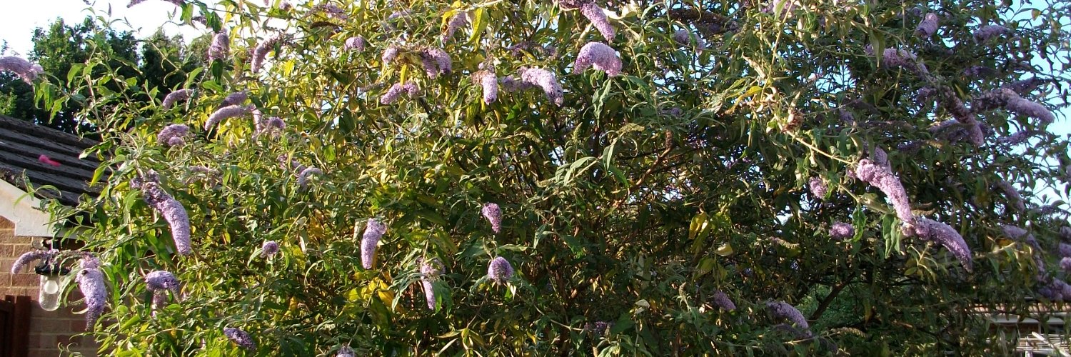 keith winkworth banner