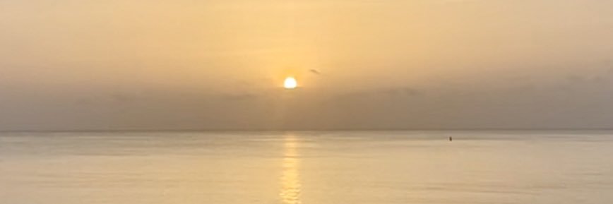 b banner