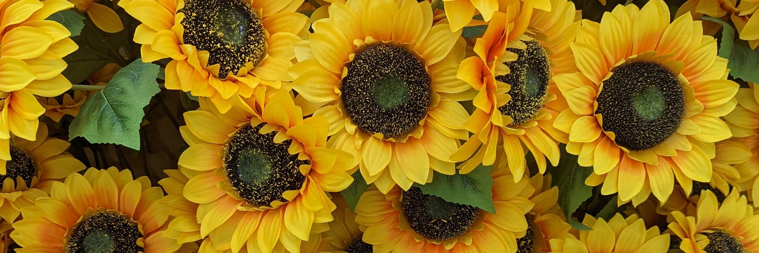 TessaDrew2's profile banner image