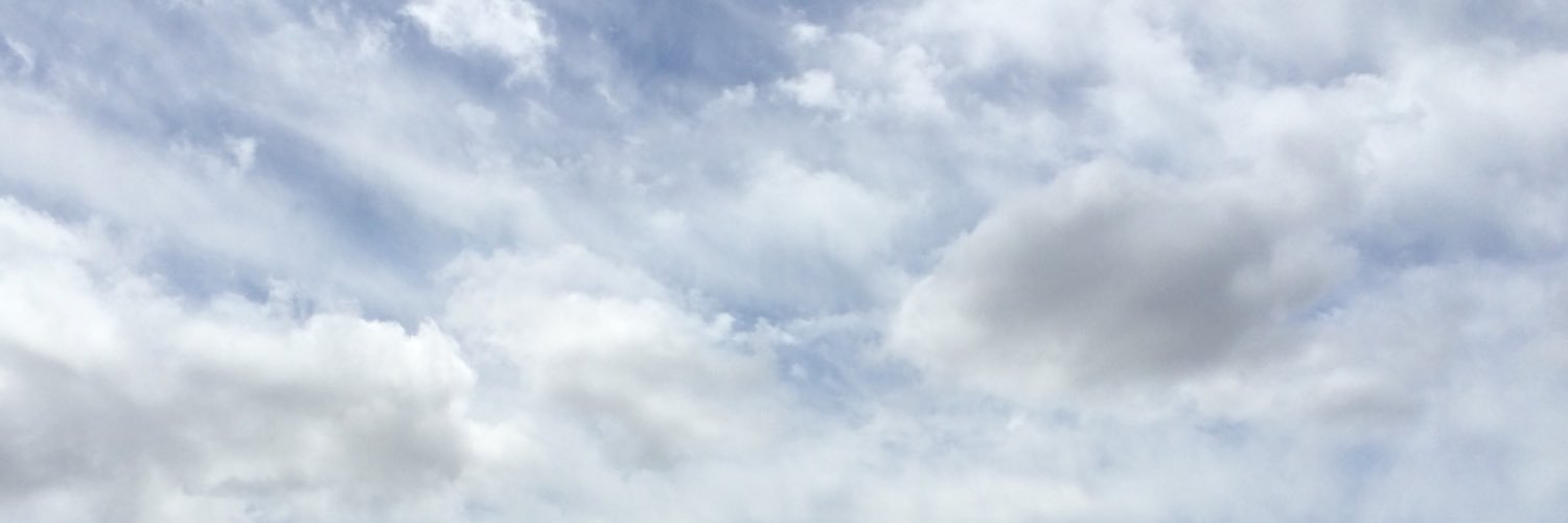 LeeShawnStein's profile banner image