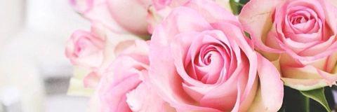 _MariaRosaR's profile banner image