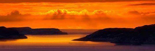 VANESSA FERNANDEZ banner