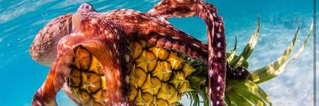 jay_Malin's profile banner image