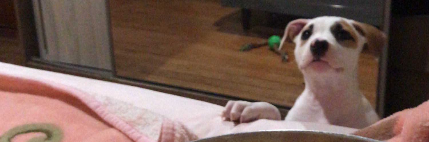 bnbruno16's profile banner image