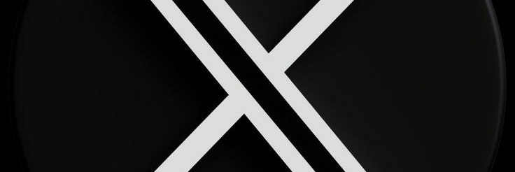 lil x banner