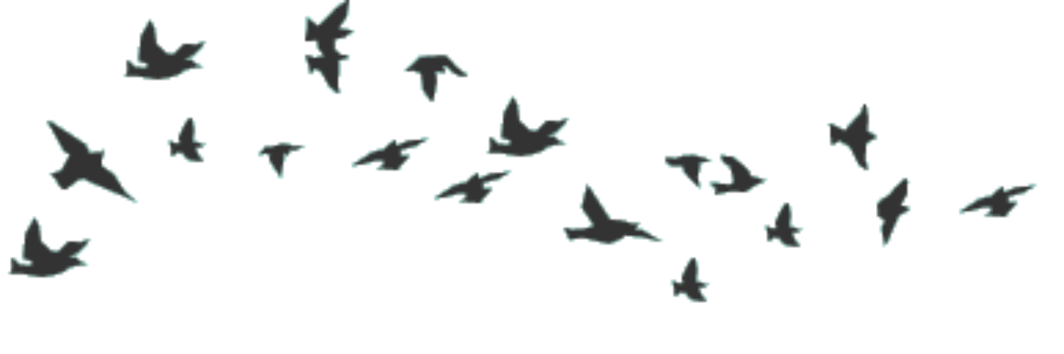 Absolute_Virtue's profile banner image