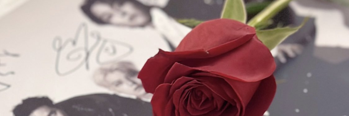risinginfinity's profile banner image