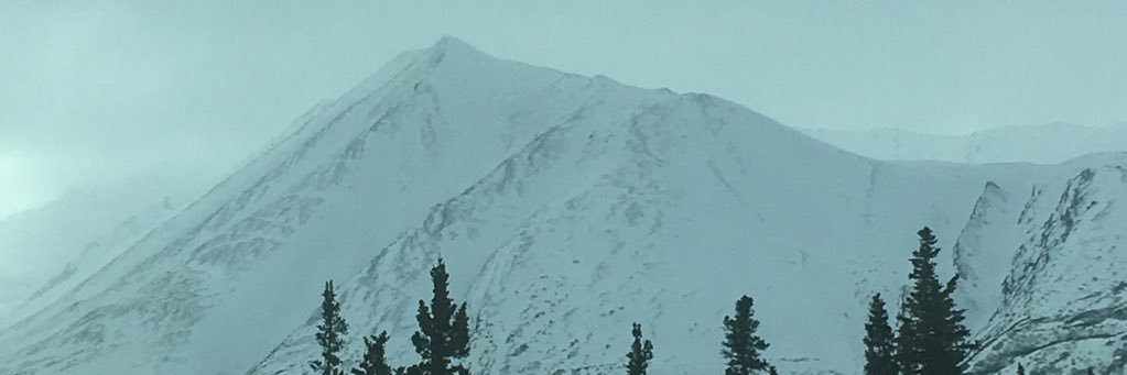 sriffer's profile banner image