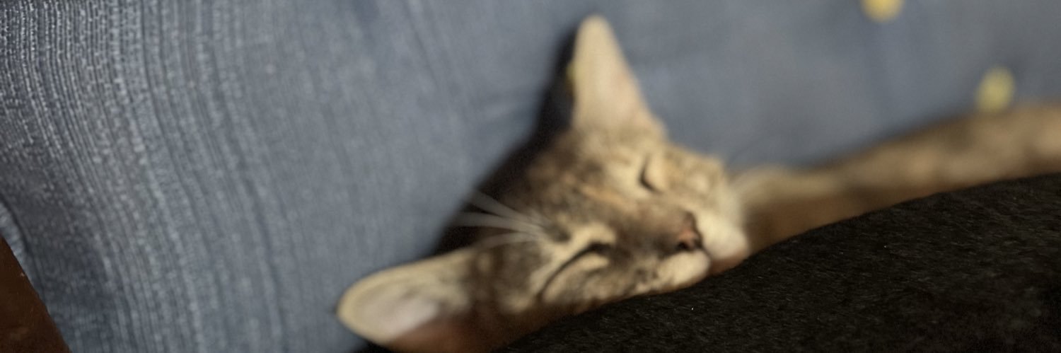ChechuEt's profile banner image