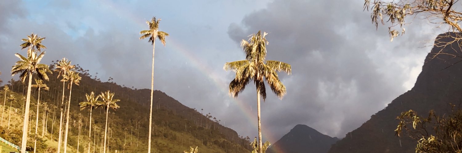 DandyLittleOne's profile banner image
