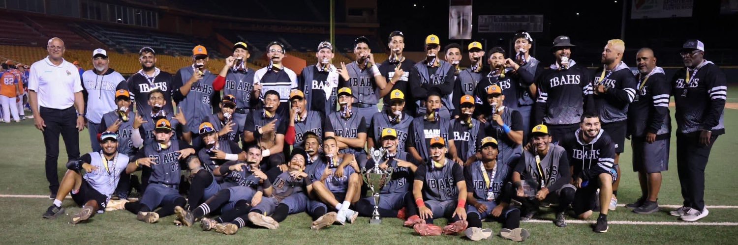 International Baseball Academy banner