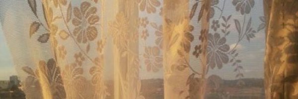 __annahoj Profile Banner