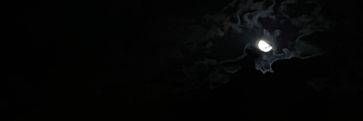 waleed0218's profile banner image
