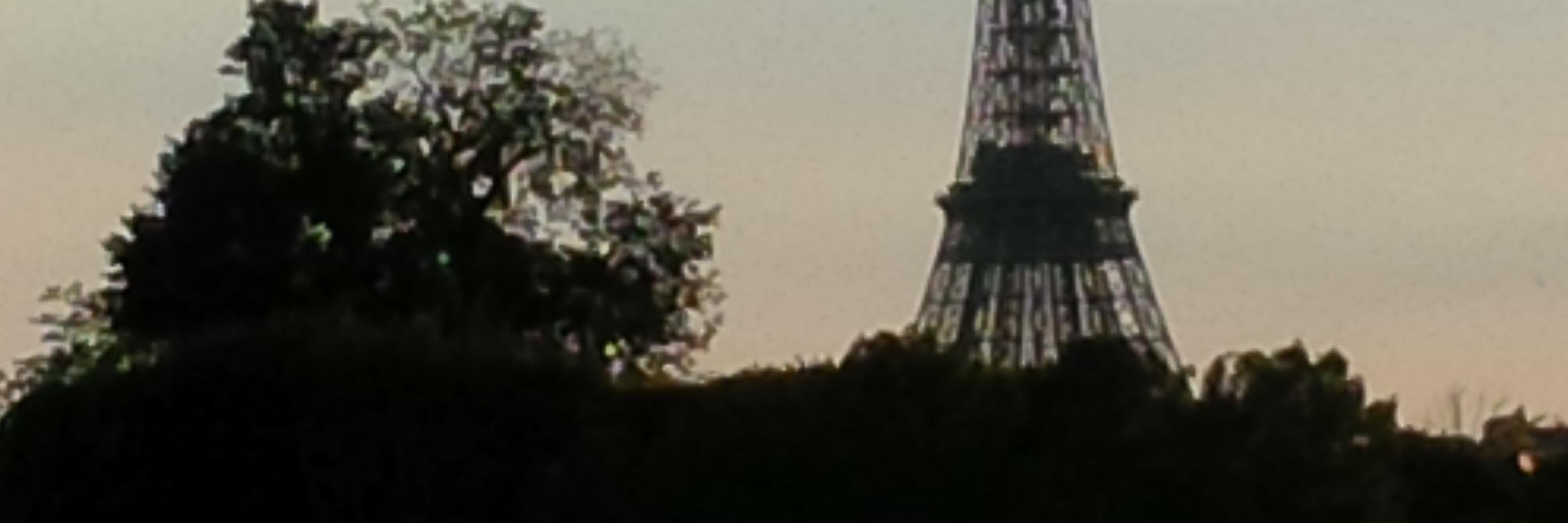 IsNicolette's profile banner image