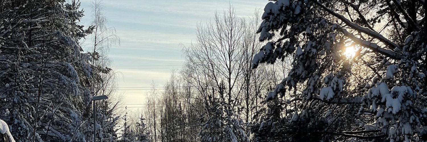 Kristian Sakarisson banner