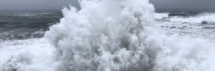 melfoyay's profile banner image