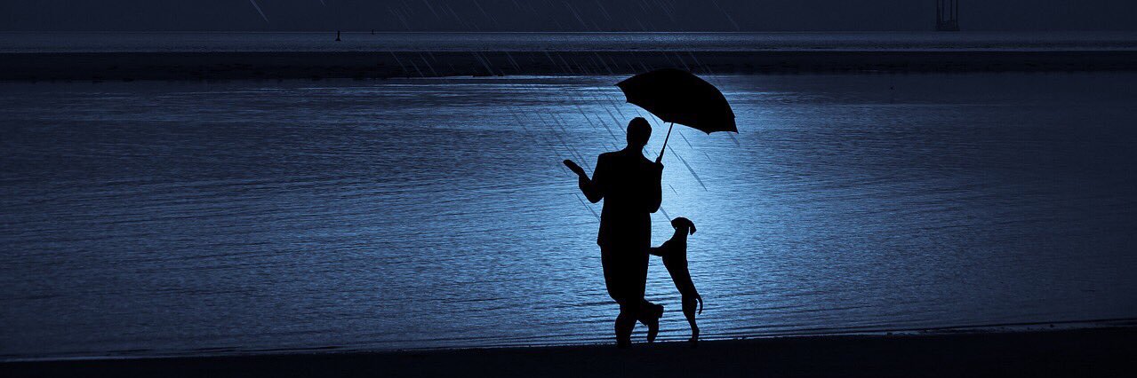 Mikhail Ocean banner