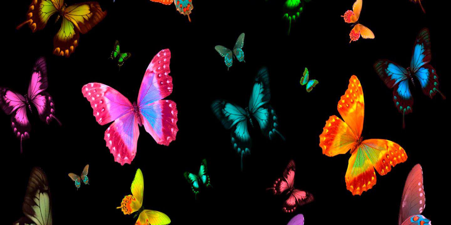 Courtney Johnson banner