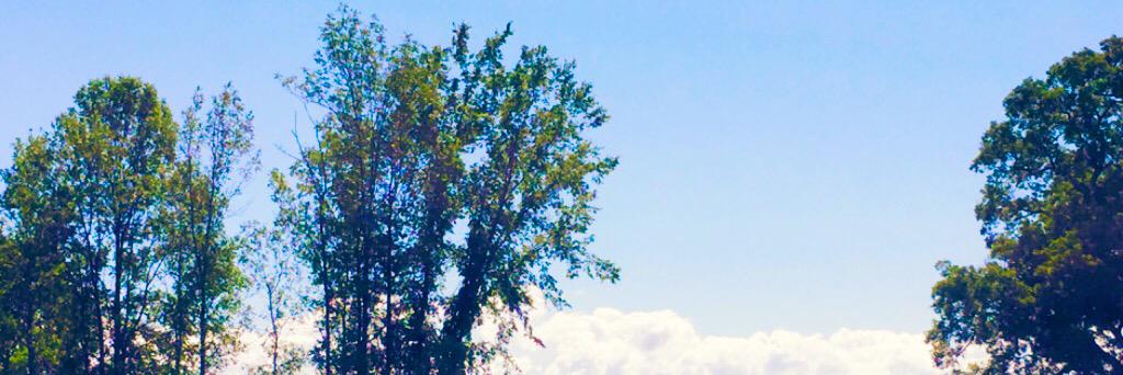 PaigeLevinsky's profile banner image
