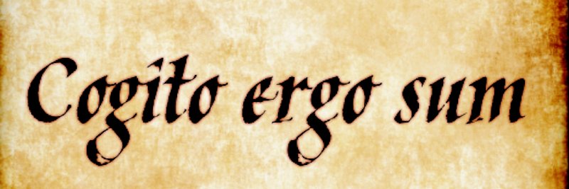 ysrkrkys's profile banner image