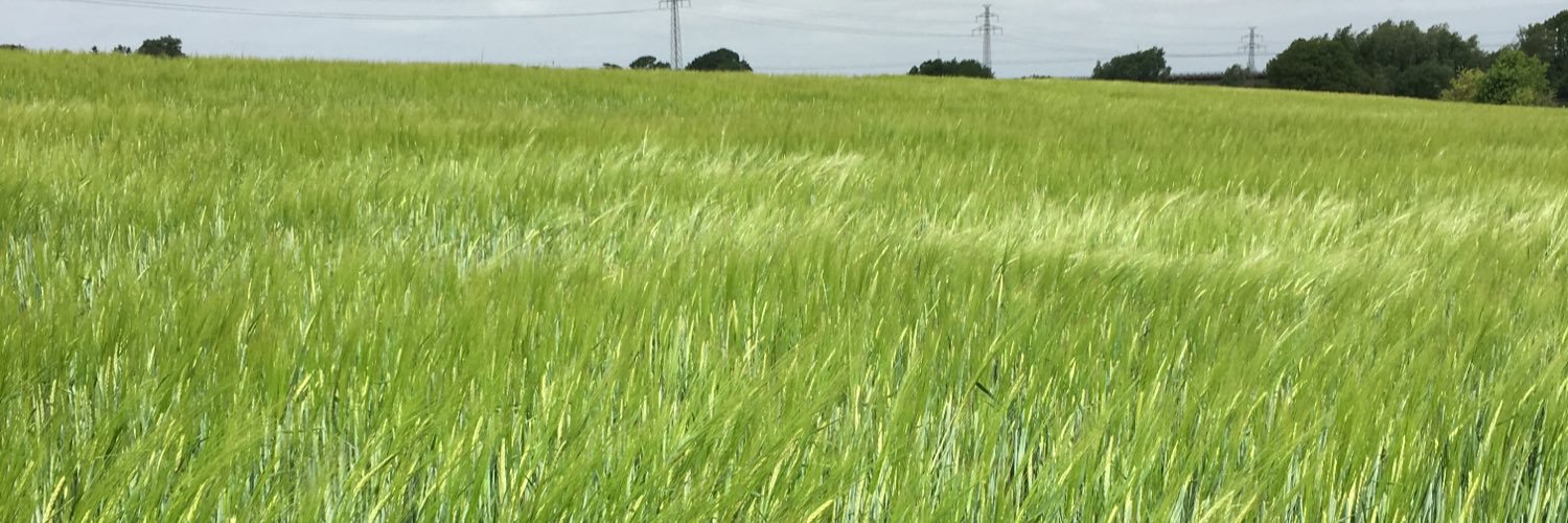 Akka banner